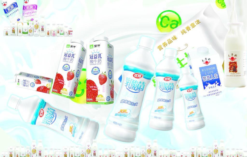 乳酸菌 小小微生物，守护大健康——日用百货中的健康卫士